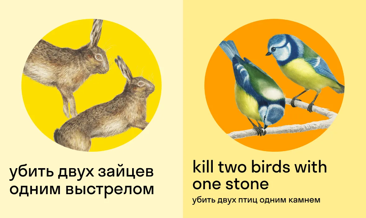 убить двух зайцев одним выстрелом по-английски — kill two birds with one stone — убить двух птиц одним камнем