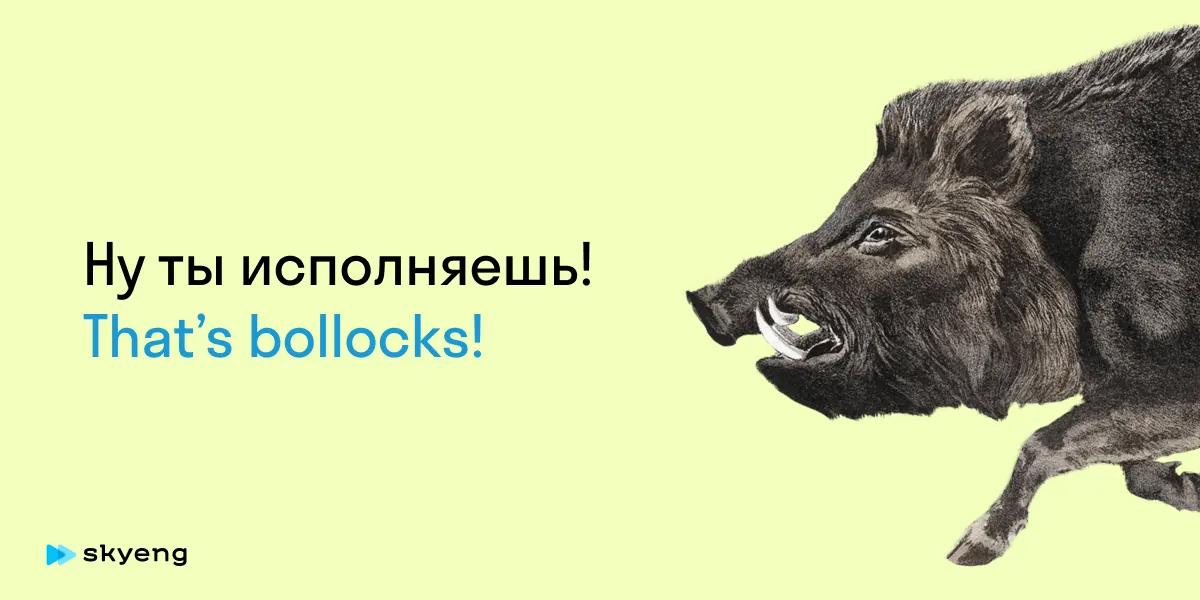 Ну ты исполняешь! That’s bollocks!