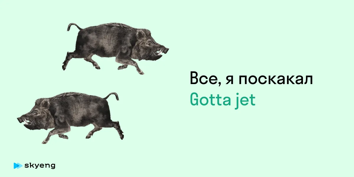 Все, я поскакал Gotta jet