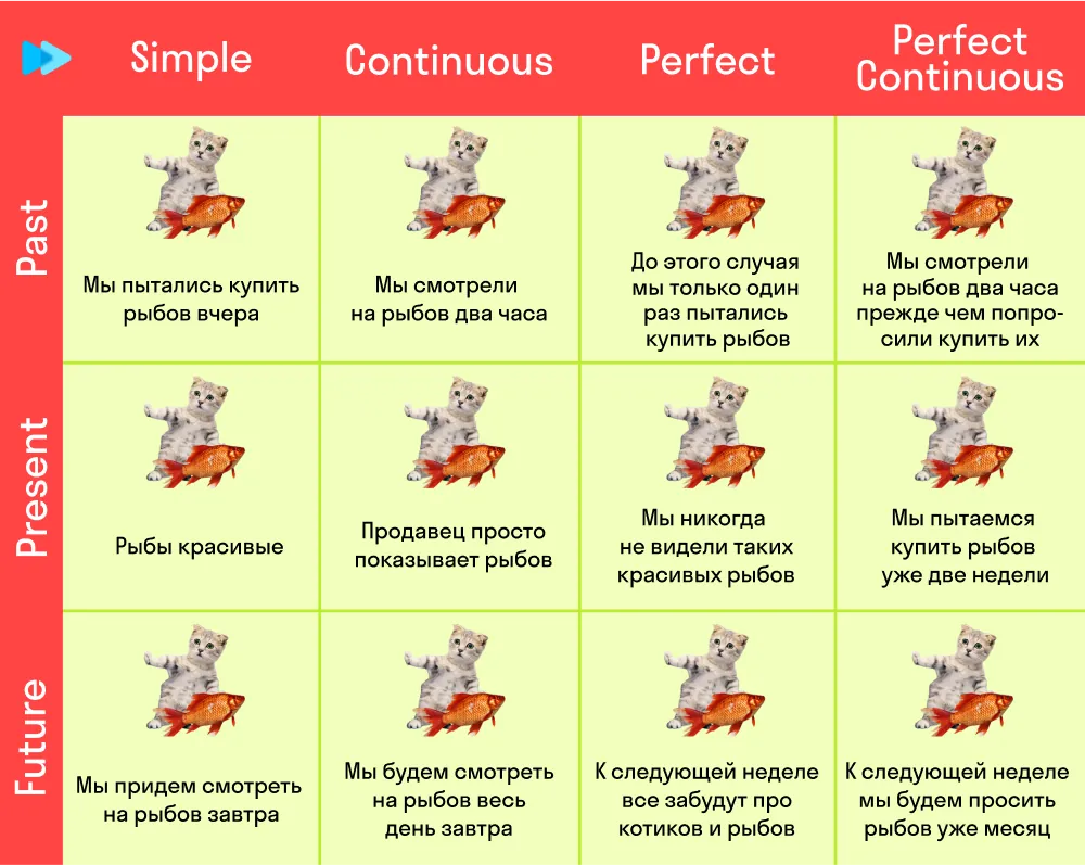 Are you selling the fishes? Все времена английского в картинке про котиков и рыбов