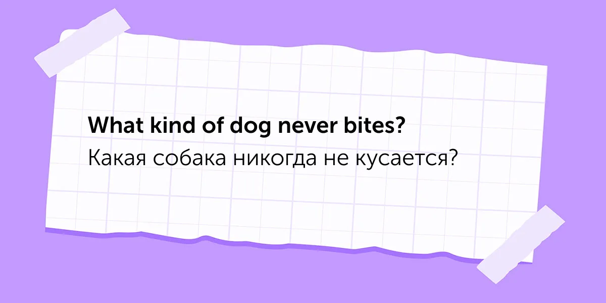 10 английских загадок для детей, с которыми справится не каждый взрослый