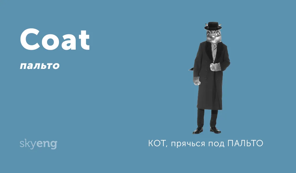 Мнемотехника: как запоминать английские слова с помощью ассоциаций и мнемокарточек